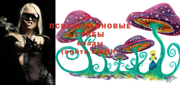 a pvp Абаза
